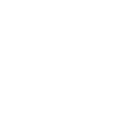 Consultation