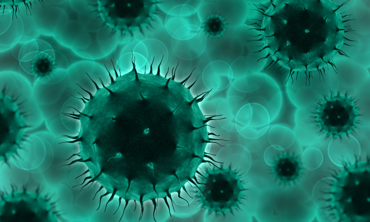 AI-Assisted Influenza Test